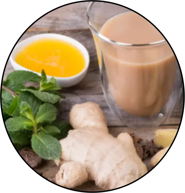 Immune System Boosters